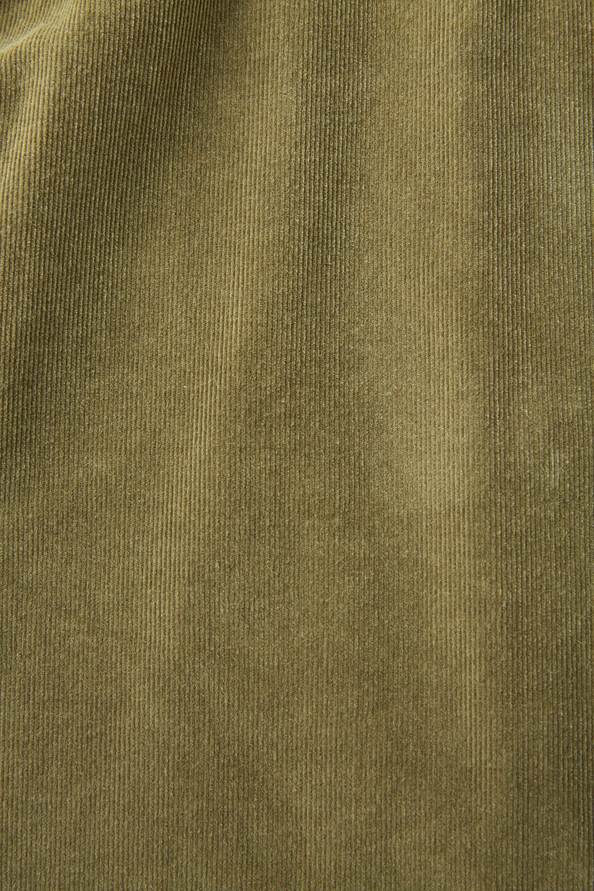 SWALLOW COLLAR NASSOU SHIRTS - 252OJ-SH02