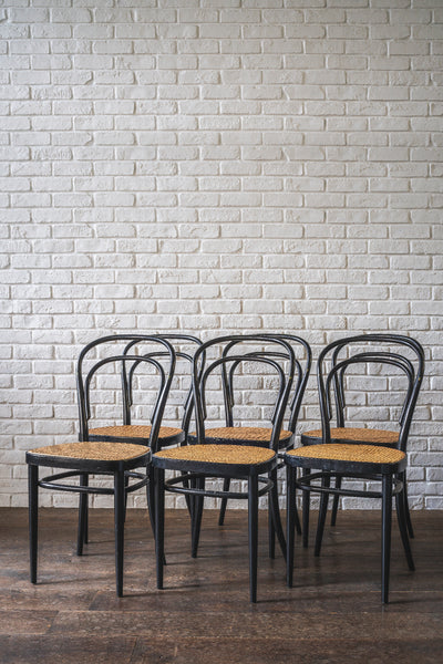Thonet トーネット214 ヤマギワ購入 THONET チェア no.214 ウォルナット(受注品) : ヤマギワ